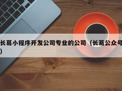 长葛小程序开发公司专业的公司（长葛公众号）