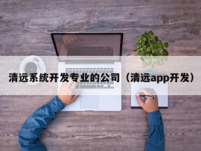 清远系统开发专业的公司（清远app开发）