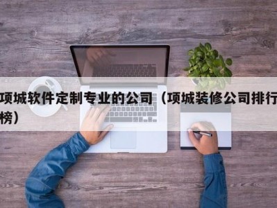 项城软件定制专业的公司（项城装修公司排行榜）