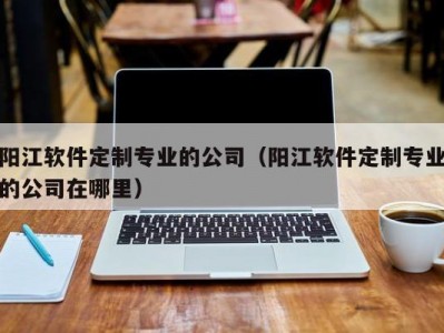 阳江软件定制专业的公司（阳江软件定制专业的公司在哪里）