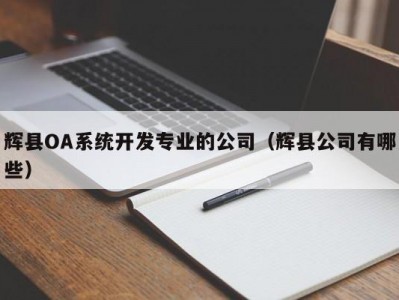 辉县oa系统开发专业的公司（辉县公司有哪些）