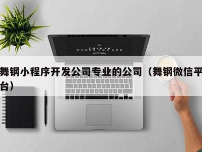 舞钢小程序开发公司专业的公司（舞钢微信平台）