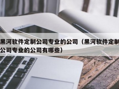 黑河软件定制公司专业的公司（黑河软件定制公司专业的公司有哪些）