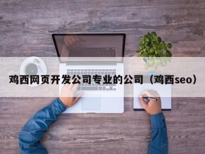 鸡西网页开发公司专业的公司（鸡西seo）