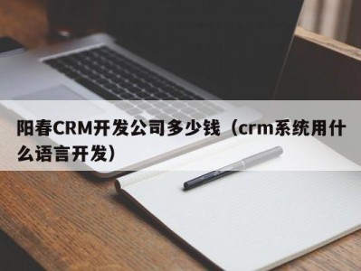 阳春crm开发公司多少钱（crm系统用什么语言开发）