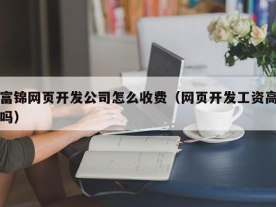 富锦网页开发公司怎么收费（网页开发工资高吗）