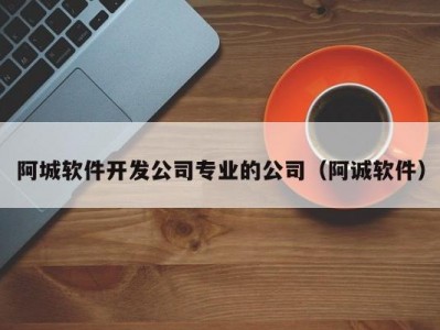 阿城软件开发公司专业的公司（阿诚软件）