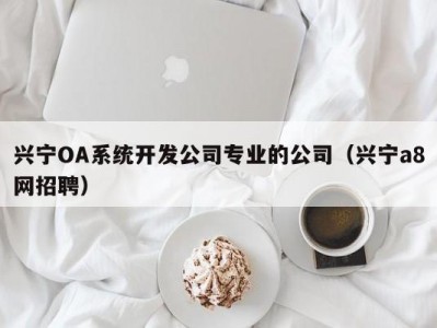 兴宁oa系统开发公司专业的公司（兴宁a8网招聘）