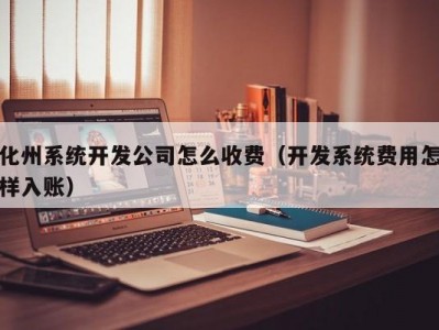 化州系统开发公司怎么收费（开发系统费用怎样入账）