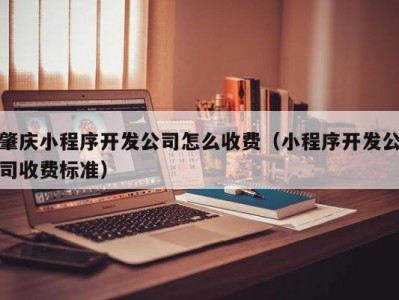 肇庆小程序开发公司怎么收费（小程序开发公司收费标准）