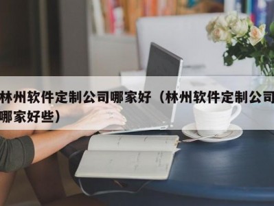 林州软件定制公司哪家好（林州软件定制公司哪家好些）