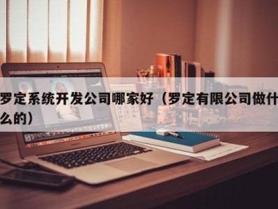 罗定系统开发公司哪家好（罗定有限公司做什么的）