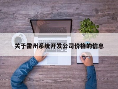 关于雷州系统开发公司价格的信息