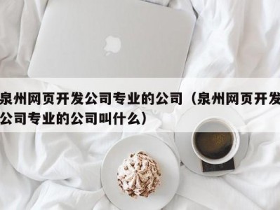 泉州网页开发公司专业的公司（泉州网页开发公司专业的公司叫什么）