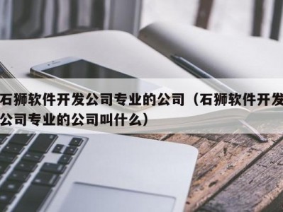 石狮软件开发公司专业的公司（石狮软件开发公司专业的公司叫什么）