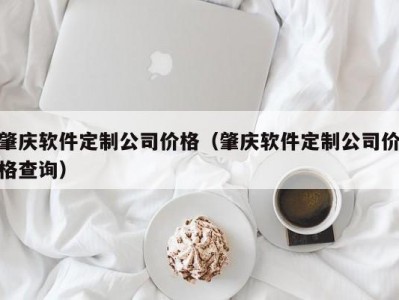 肇庆软件定制公司价格（肇庆软件定制公司价格查询）