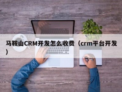 马鞍山crm开发怎么收费（crm平台开发）