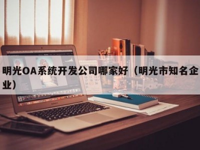 明光oa系统开发公司哪家好（明光市知名企业）