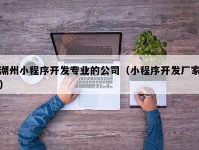 潮州小程序开发专业的公司（小程序开发厂家）