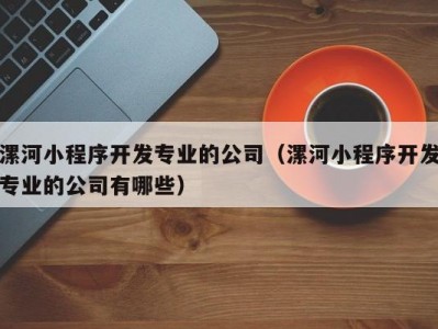 漯河小程序开发专业的公司（漯河小程序开发专业的公司有哪些）