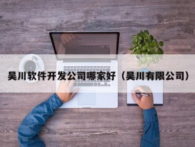 吴川软件开发公司哪家好（吴川有限公司）