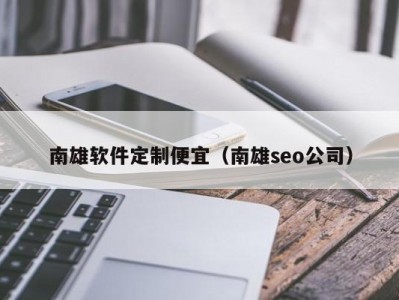 南雄软件定制便宜（南雄seo公司）