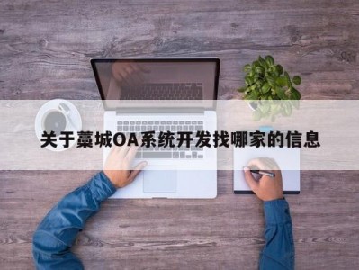 关于藁城oa系统开发找哪家的信息