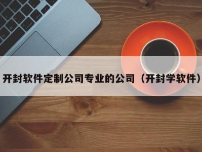 开封软件定制公司专业的公司（开封学软件）