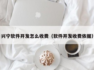 兴宁软件开发怎么收费（软件开发收费依据）