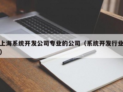 上海系统开发公司专业的公司（系统开发行业）