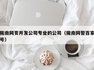 陇南网页开发公司专业的公司（陇南网警百家号）