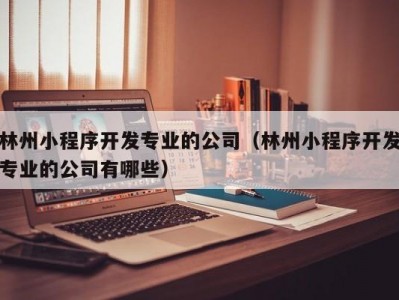 林州小程序开发专业的公司（林州小程序开发专业的公司有哪些）