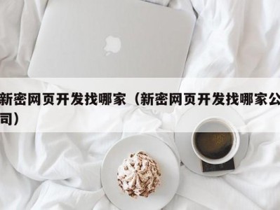 新密网页开发找哪家（新密网页开发找哪家公司）