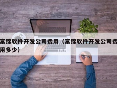 富锦软件开发公司费用（富锦软件开发公司费用多少）