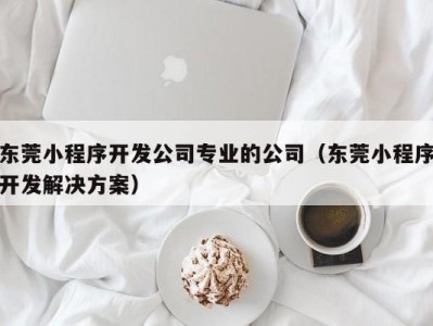 东莞小程序开发公司专业的公司（东莞小程序开发凯发彩票的解决方案）